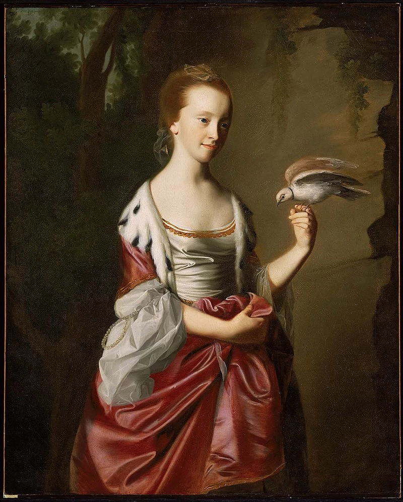 Ritratto di Elizabeth Ross (Mrs. William Tyng) - Museum of Fine Arts, Boston